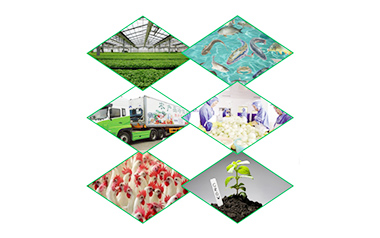 珠海热带兰花二期 大棚系统