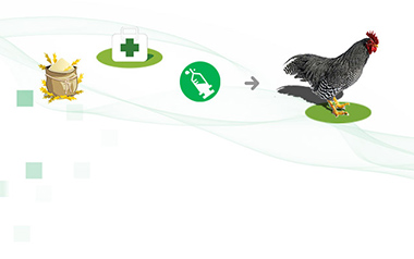 沅力鸡场物联网养殖