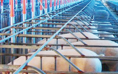 沅力UNET养猪场监控管理系统