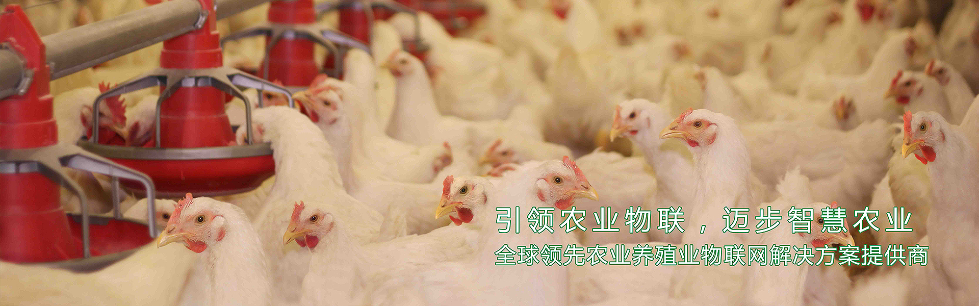 中山市沅力智能科技有限公司 中山市沅力智能科技有限公司